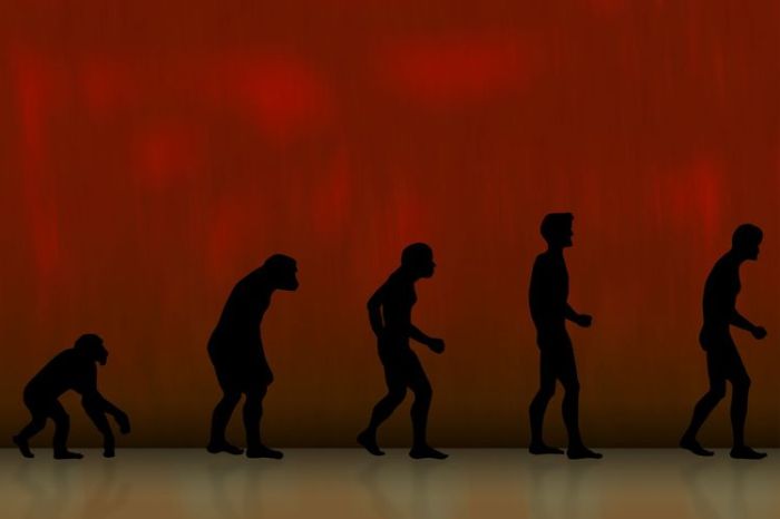 Evolusi manusia Evolusi manusia