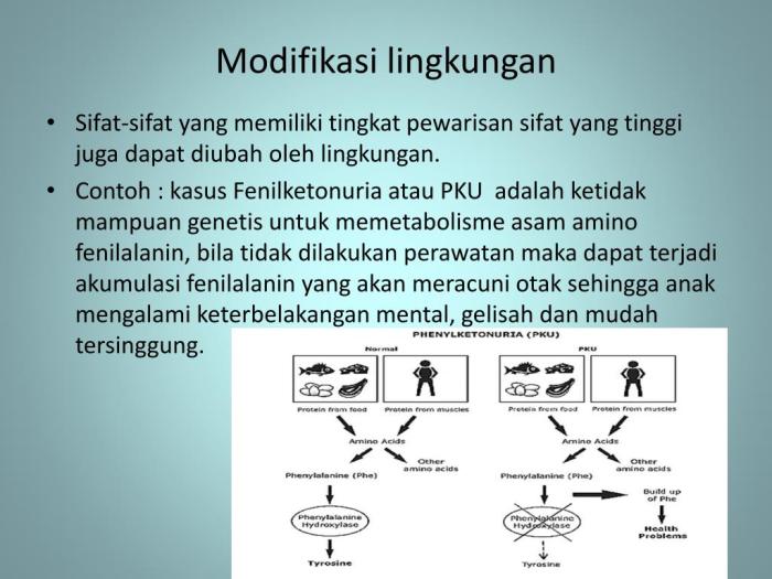 Evolusi dan Genetika: Fakta Baru yang Terungkap