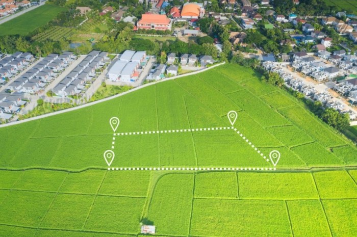 Panduan Membeli Tanah Virtual Pertama
