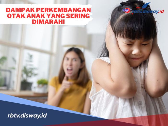 4 Kunci Perkembangan Otak Anak Efek Teknologi Terhadap Perkembangan Otak Anak