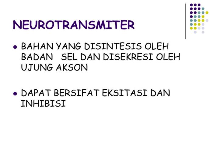 Cara Kerja Neurotransmitter dalam Tubuh